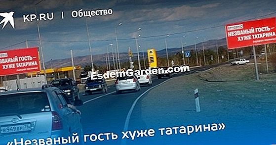 Снегова по кошерите