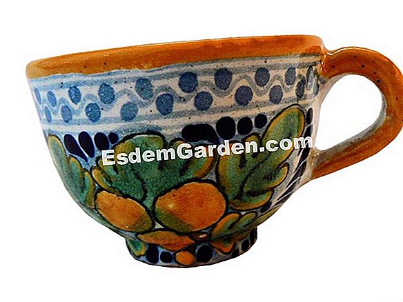 esdemgarden.comSpring Special