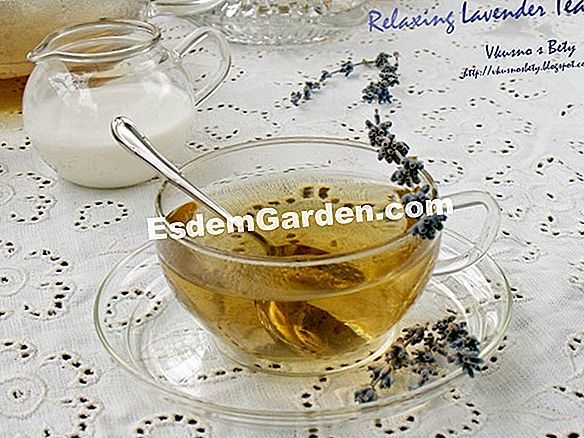 Успокояващ билков чай ​​от ергенската маточина и портокалов цвят