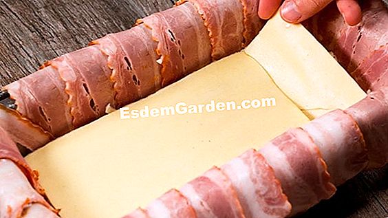 Рецепта от говеждо шишче с японско сирене