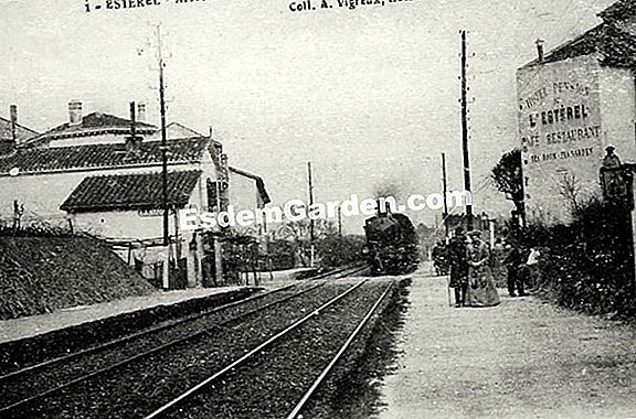 Mandelieu-La Napoule (06)
