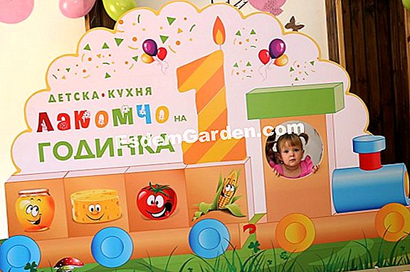 Как да сеем пролетен спанак: съвети