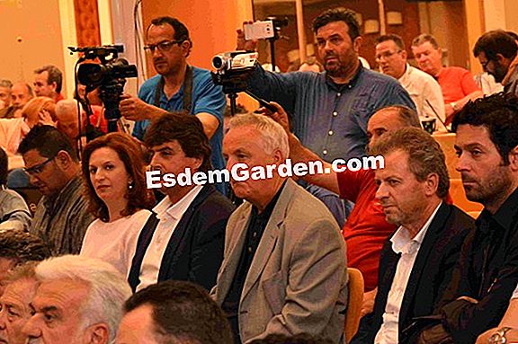 Εκτελέστε το cyperus