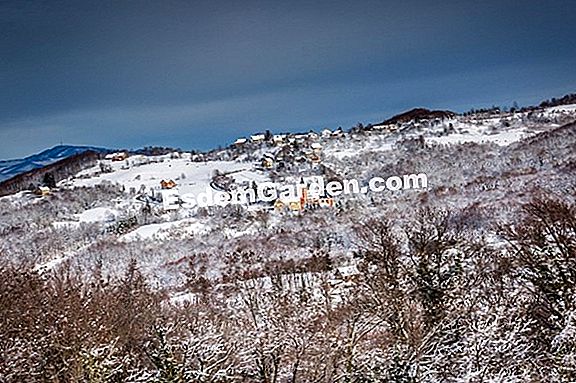 Pobjednici foto natjeÄaja France Bleu 2019
