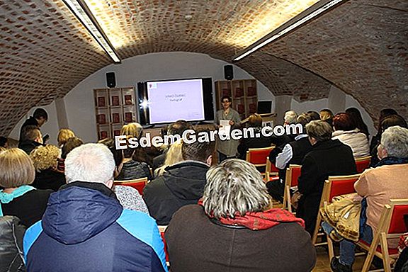 Uspješna podjela vodenog ljiljana: ispravne akcije