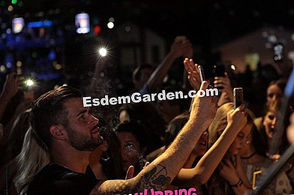 Pet dobrih gesta za premještanje biljaka