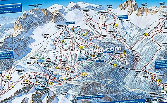 Zimovanje dioée: geste i metode