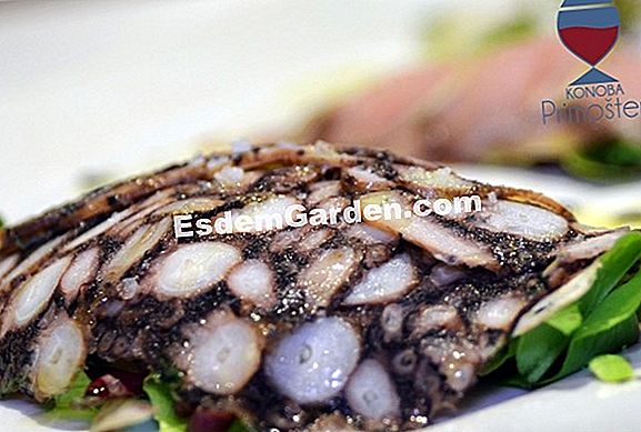 Riža salata od mora i njezina krošnja iz klijavih sjemenki