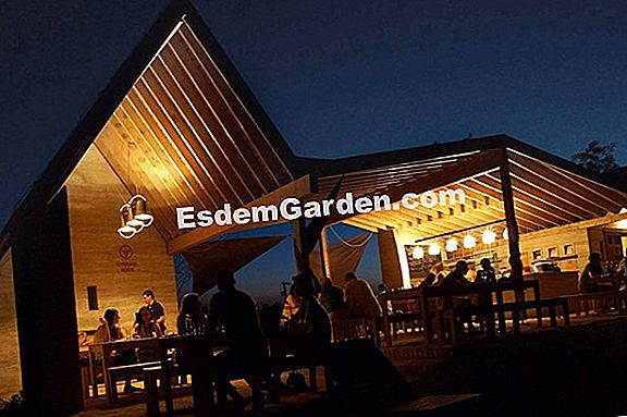 Szerves oldatok a meztelen csigák ellen
