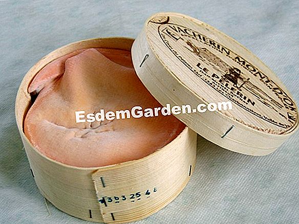 Vacherin Mont-d'or sült