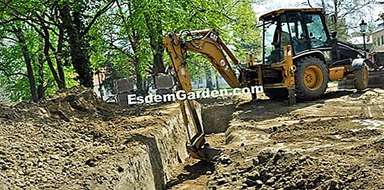 Fogjon meg egy pudingot