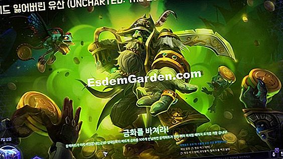 금화를 끌어들이는 방법