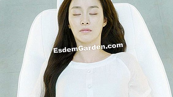 변호사를 잘라
