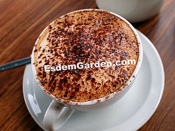 정원에서 커피 찌꺼기를 어떤 용도로 사용할 수 있습니까?