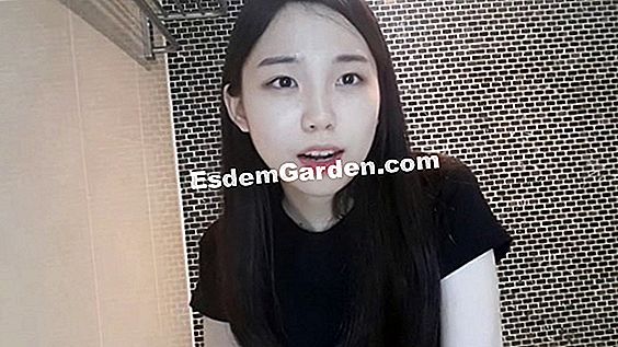 버킷 이식