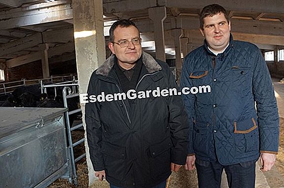 2019 „Žemės prie stalo“ apdovanojimų nugalėtojai