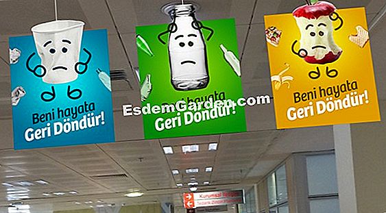 5 Geri gestai, skirti atkartoti jūsų augalus