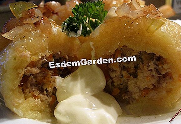 Makaronų gratinas su tetragonu