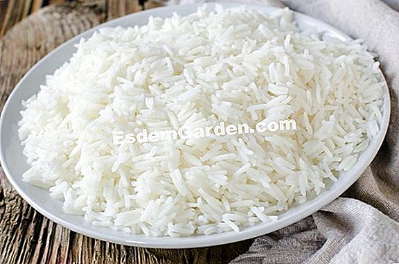 Ryžiai Figatellu mieste