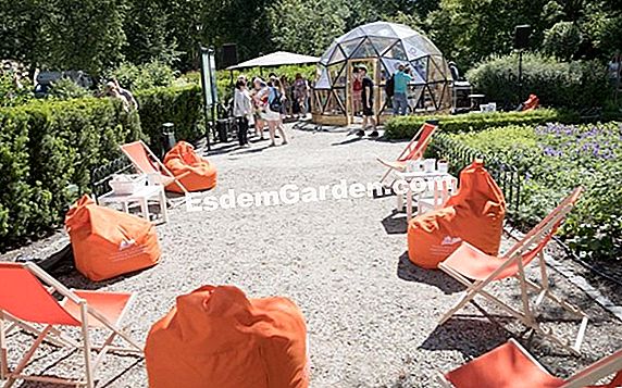 Miesto sode nustatykite sodo lygį