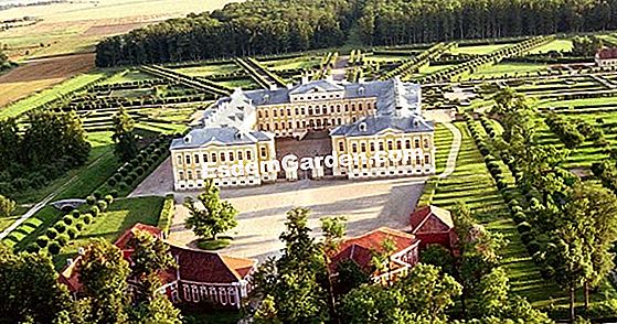 Rabarbarų kultūros ir priežiūros lapas