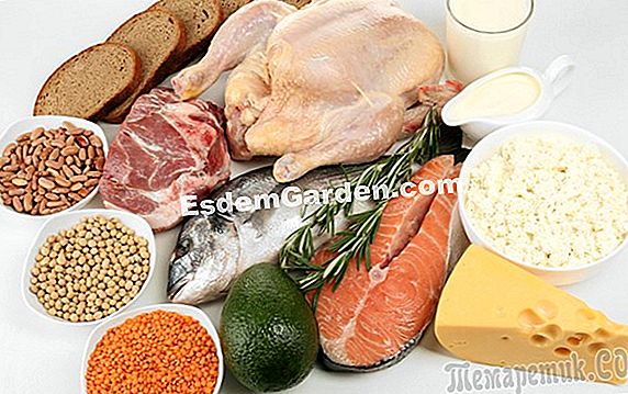 Продукты, богатые железом 🌿 Все о садоводстве и дизайне сада - 2024