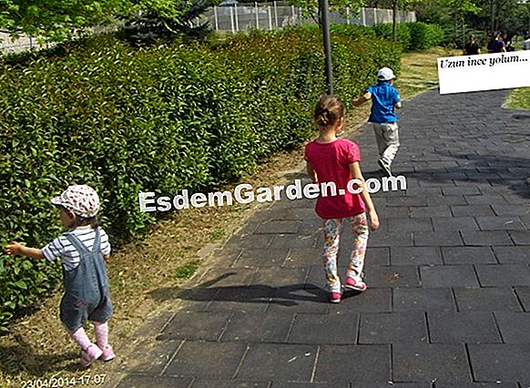 Çocuklar için mini bir sebze bahçesi